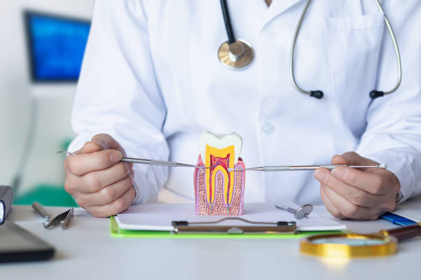 Best Urgent Dental Care for Toothache in Auburn, ME